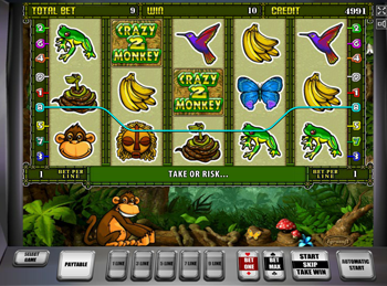 Бонус от казино Фортуна в Crazy Monkey 2